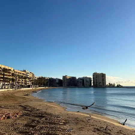 Del Cura Apartment Torrevieja