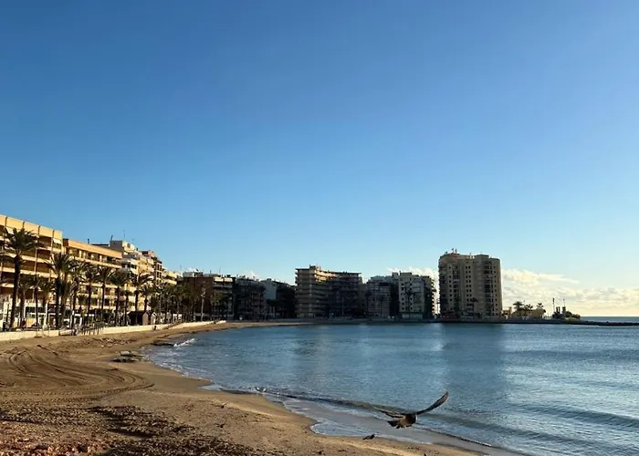 Del Cura Lägenhet Torrevieja